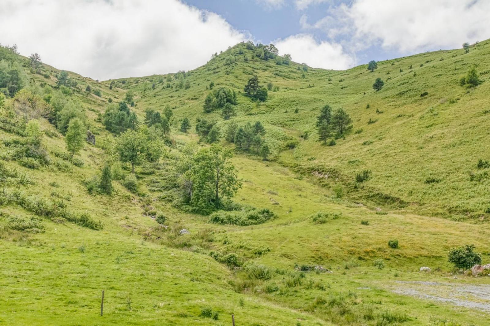 Appartement Alpin A 200M Des Pistes Génos Buitenkant foto